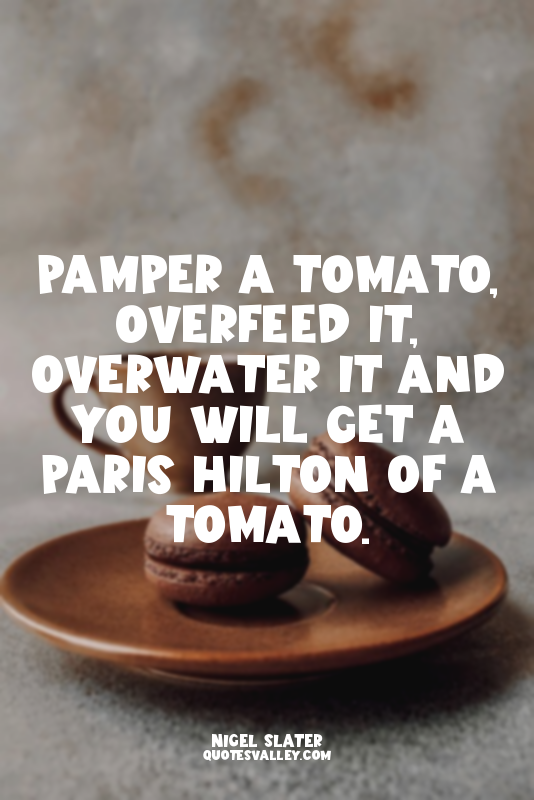Pamper a tomato, overfeed it, overwater it and you will get a Paris Hilton of a...