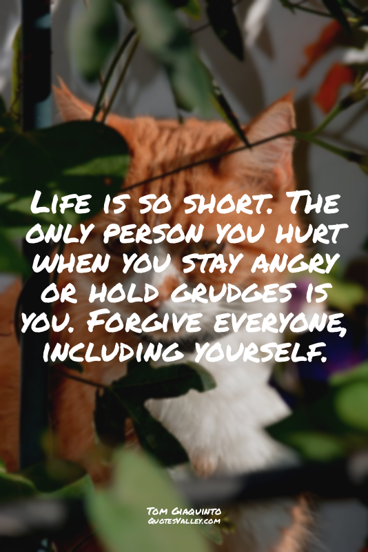 Life is so short. The only person you hurt when you stay angry or hold grudges i...