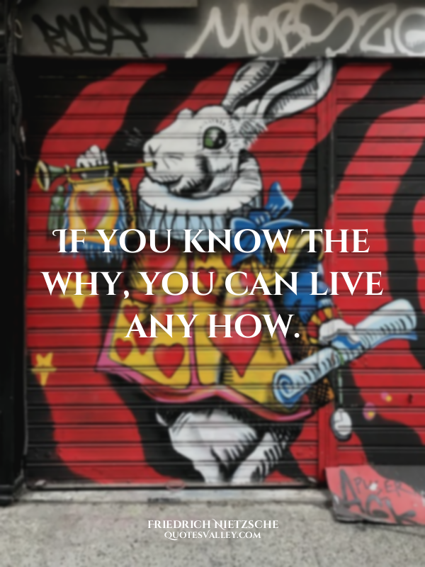 If you know the why, you can live any how.