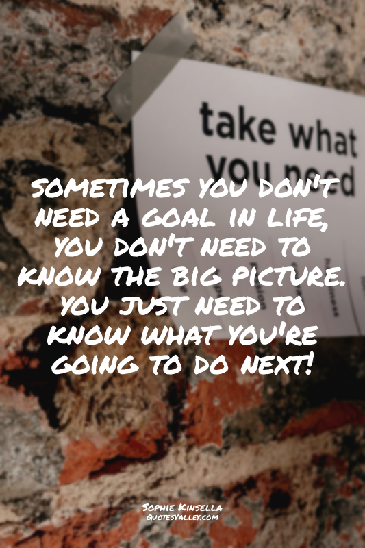 sometimes you don't need a goal in life, you don't need to know the big picture....