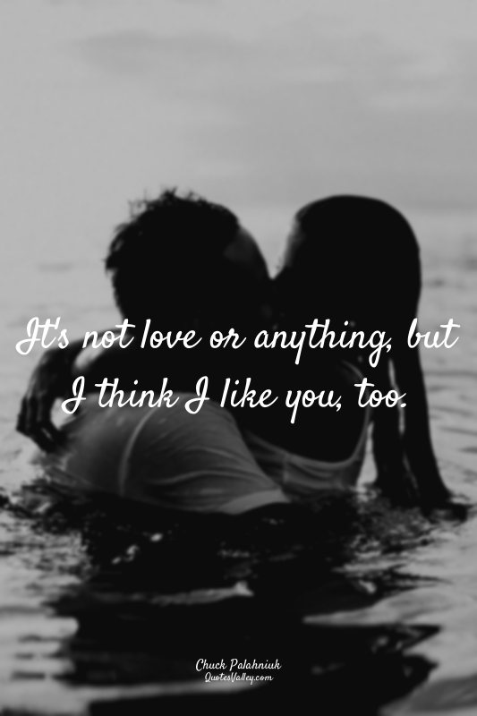 It's not love or anything, but I think I like you, too.