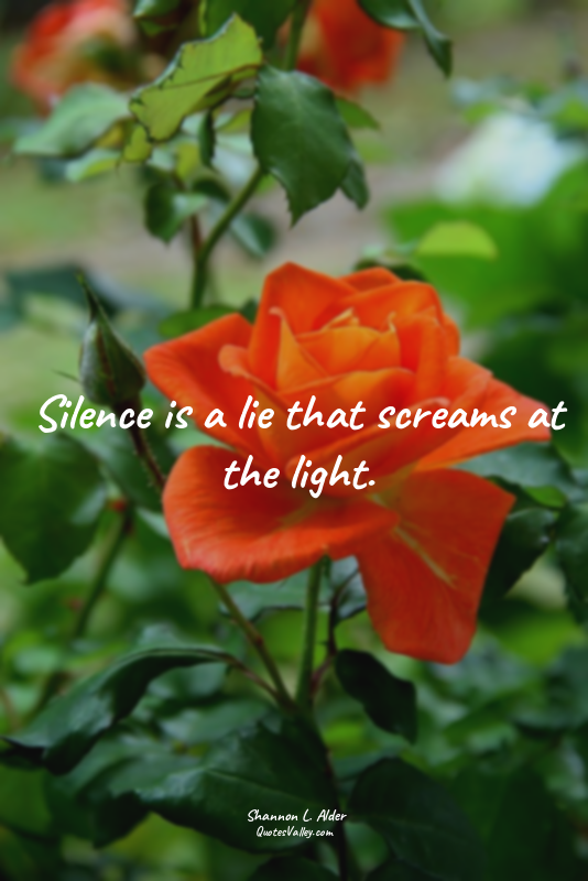 Silence is a lie that screams at the light.