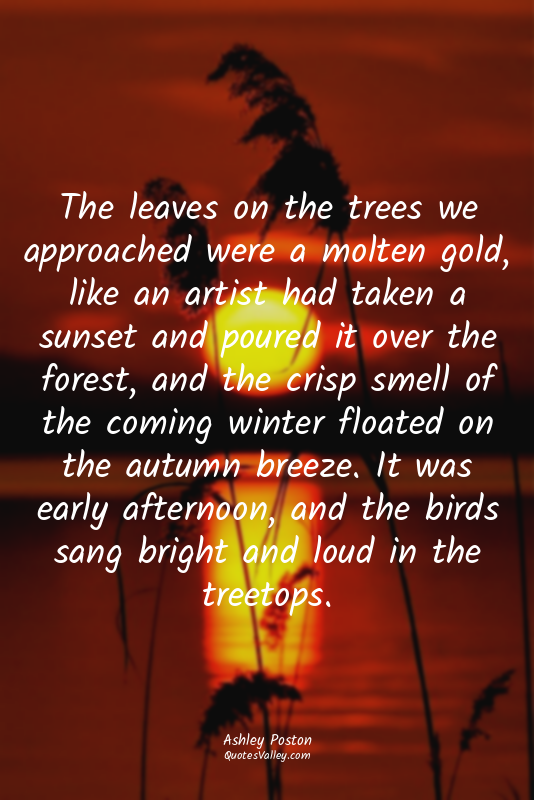 The leaves on the trees we approached were a molten gold, like an artist had tak...