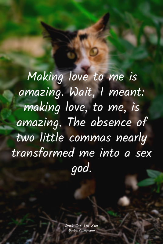 Making love to me is amazing. Wait, I meant: making love, to me, is amazing. The...