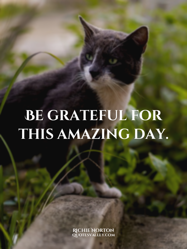 Be grateful for this amazing day.