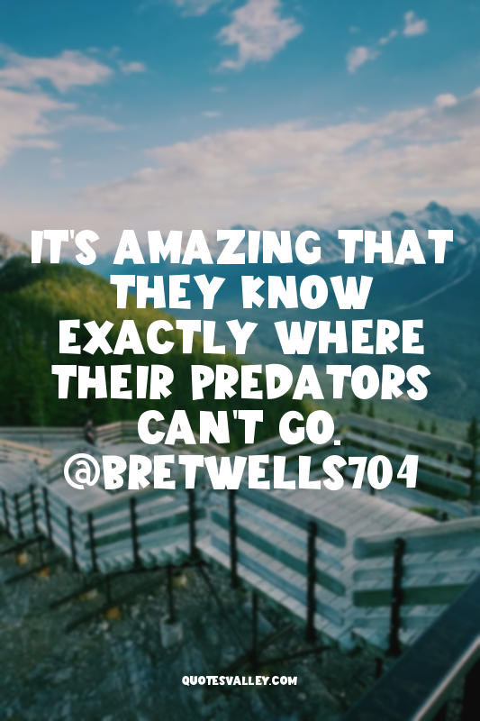It's amazing that they know exactly where their predators can't go. @bretwells70...