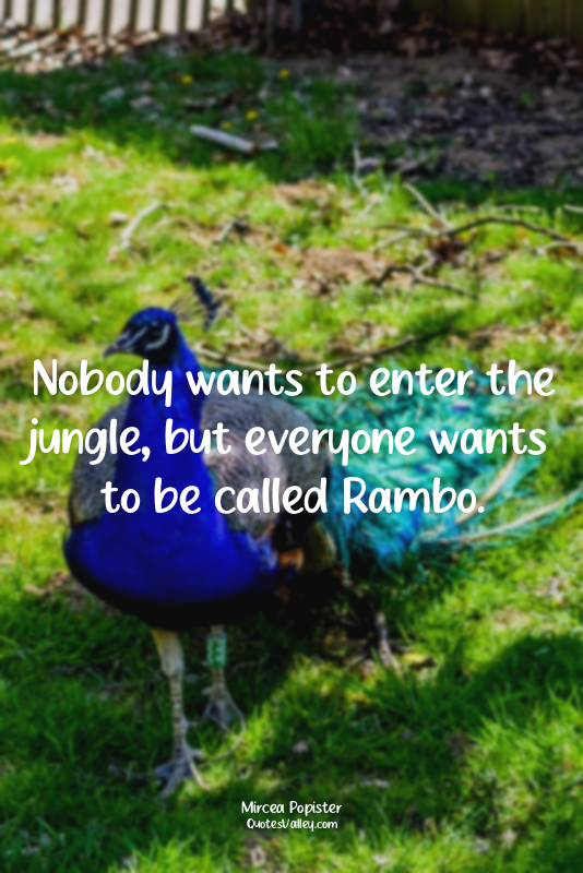 Nobody wants to enter the jungle, but everyone wants to be called Rambo.