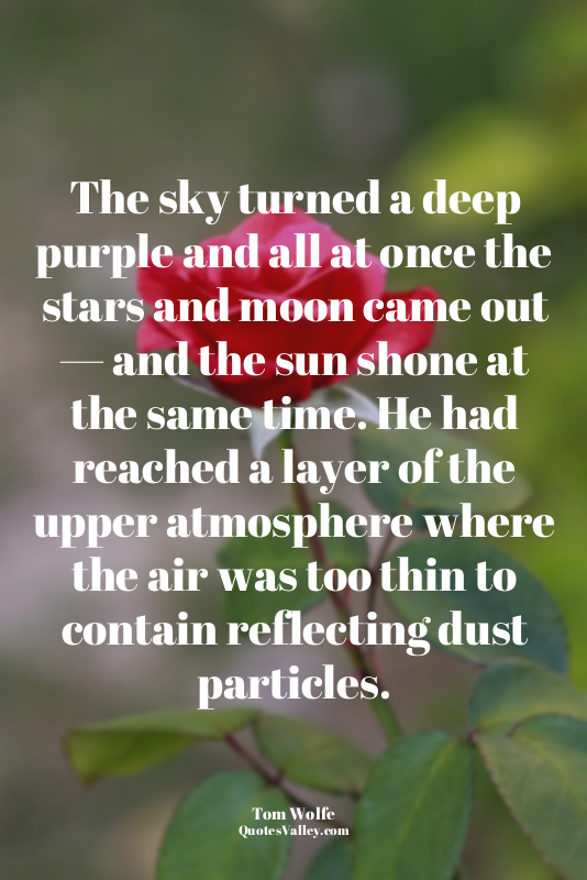 The sky turned a deep purple and all at once the stars and moon came out — and t...