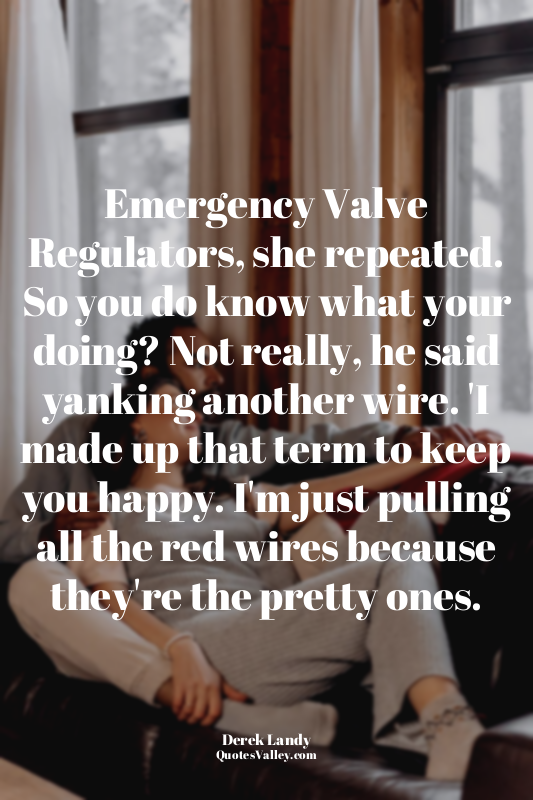 Emergency Valve Regulators, she repeated. So you do know what your doing? Not re...