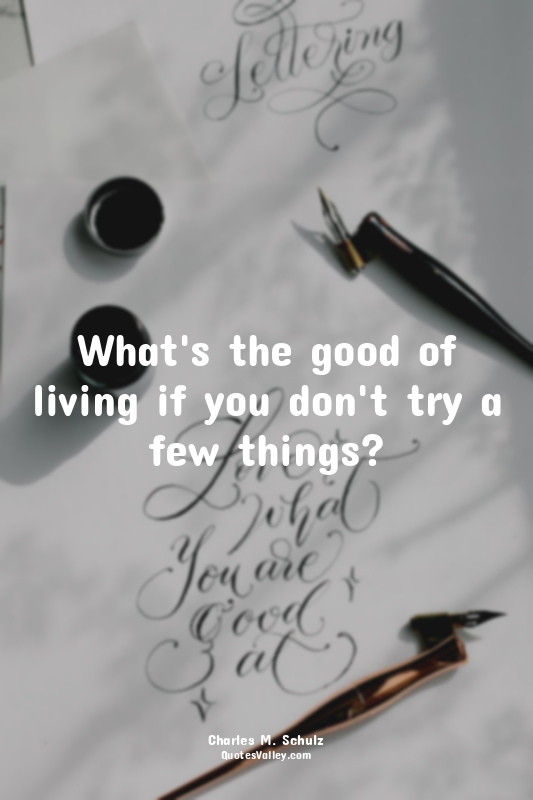What's the good of living if you don't try a few things?