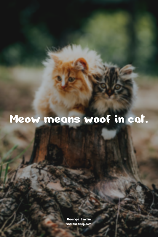 Meow means woof in cat.
