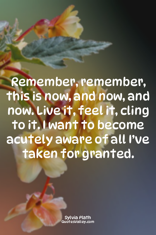 Remember, remember, this is now, and now, and now. Live it, feel it, cling to it...