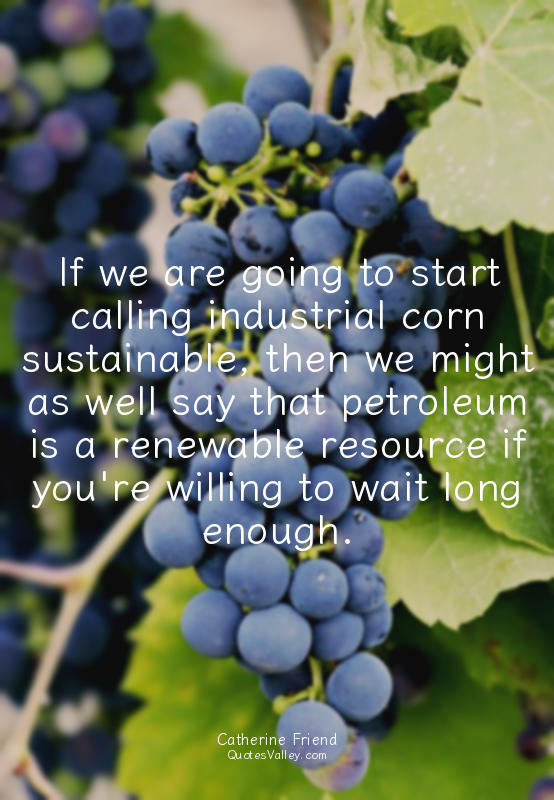 If we are going to start calling industrial corn sustainable, then we might as w...