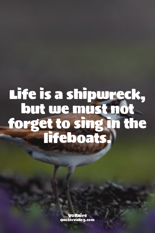Life is a shipwreck, but we must not forget to sing in the lifeboats.