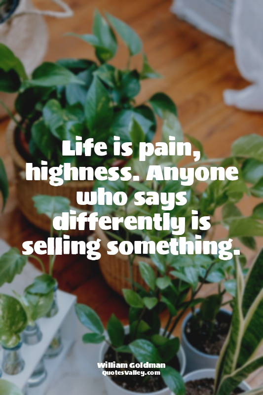 Life is pain, highness. Anyone who says differently is selling something.