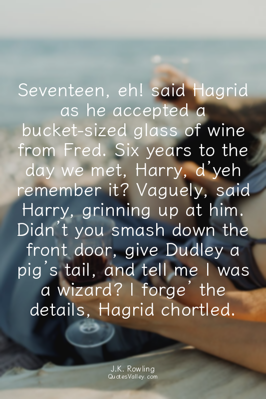 Seventeen, eh! said Hagrid as he accepted a bucket-sized glass of wine from Fred...