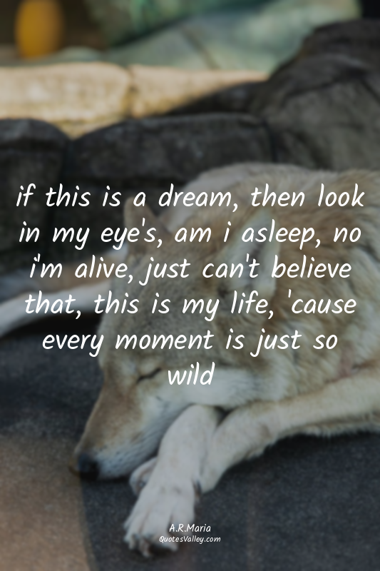 if this is a dream, then look in my eye's, am i asleep, no i'm alive, just can't...