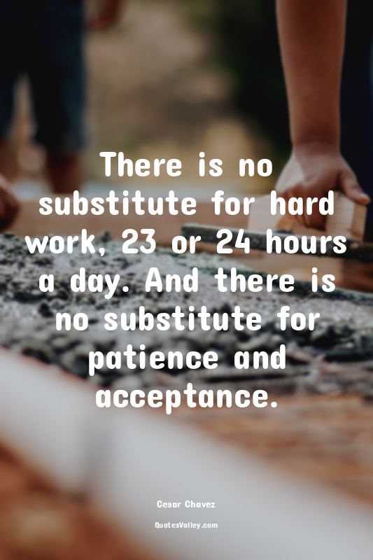 There is no substitute for hard work, 23 or 24 hours a day. And there is no subs...