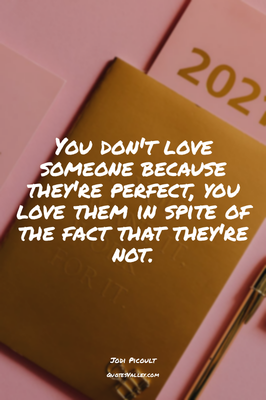 You don't love someone because they're perfect, you love them in spite of the fa...