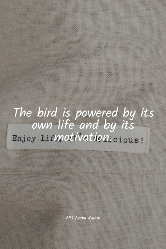 The bird is powered by its own life and by its motivation.