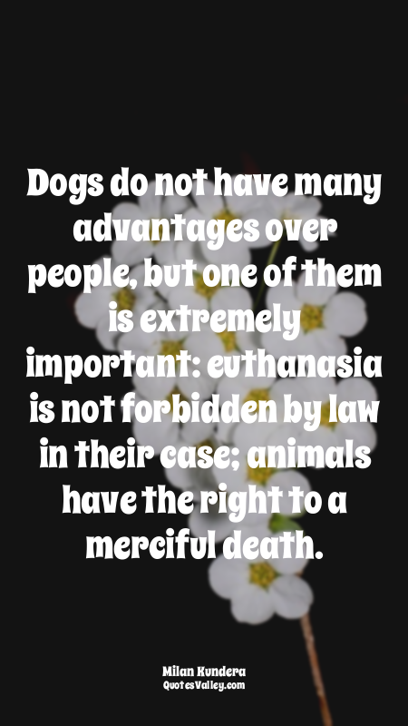 Dogs do not have many advantages over people, but one of them is extremely impor...