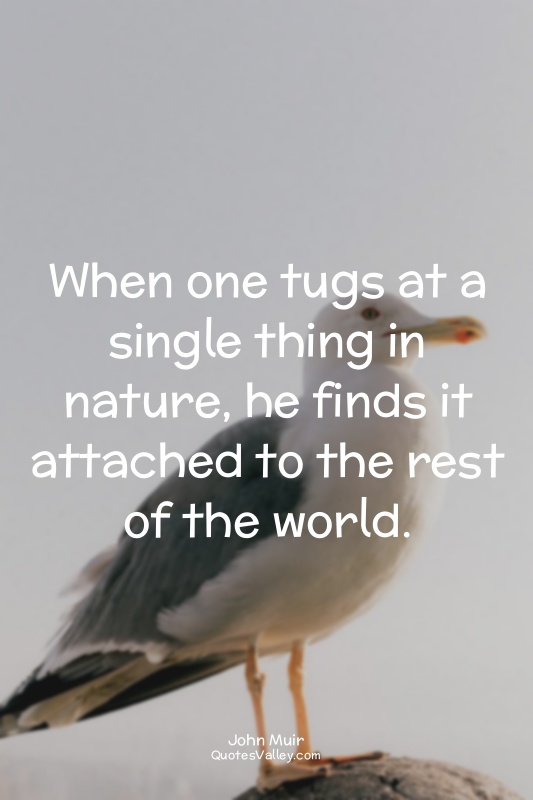 When one tugs at a single thing in nature, he finds it attached to the rest of t...