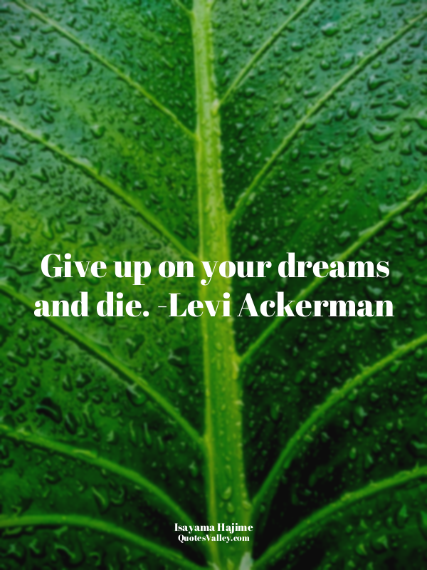 Give up on your dreams and die. -Levi Ackerman