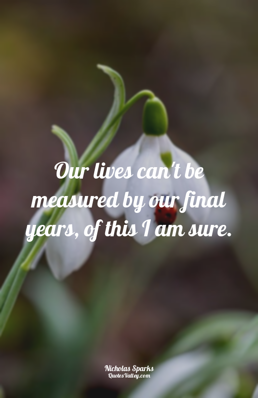 Our lives can't be measured by our final years, of this I am sure.