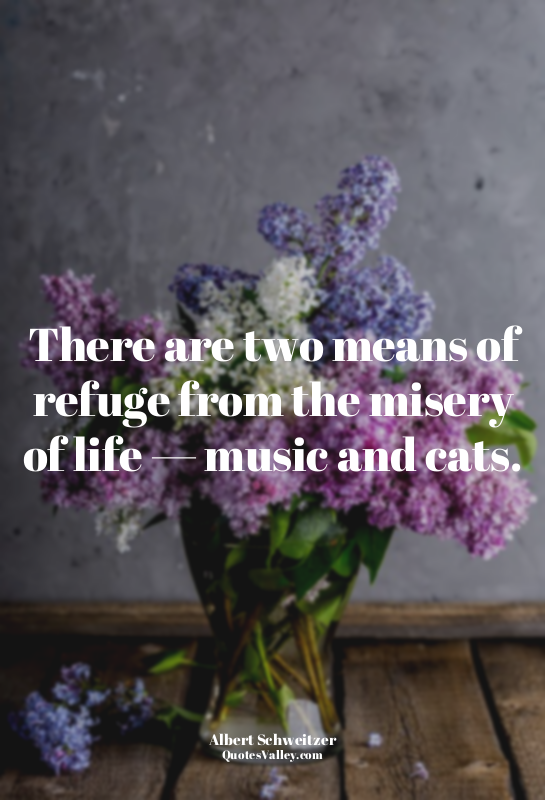 There are two means of refuge from the misery of life — music and cats.