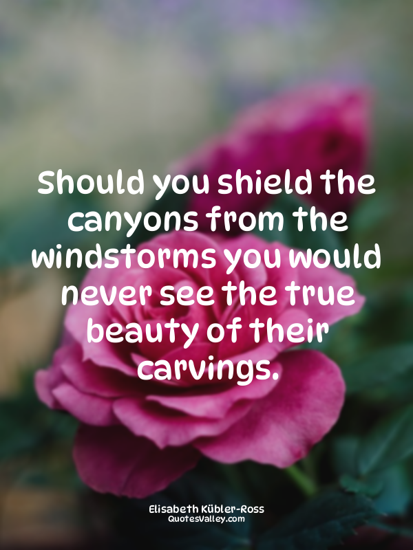 Should you shield the canyons from the windstorms you would never see the true b...
