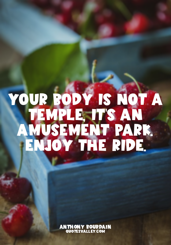 your body is not a temple, it's an amusement park. Enjoy the ride.