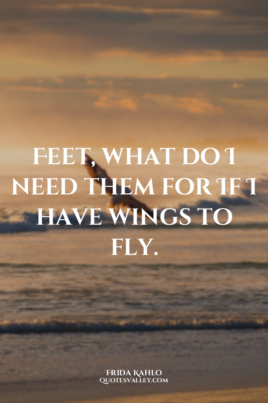 Feet, what do I need them for If I have wings to fly.