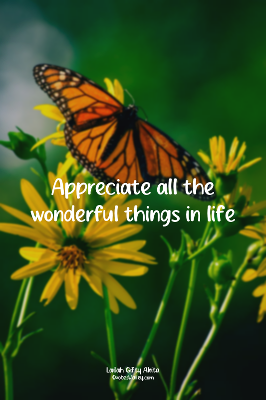 Appreciate all the wonderful things in life