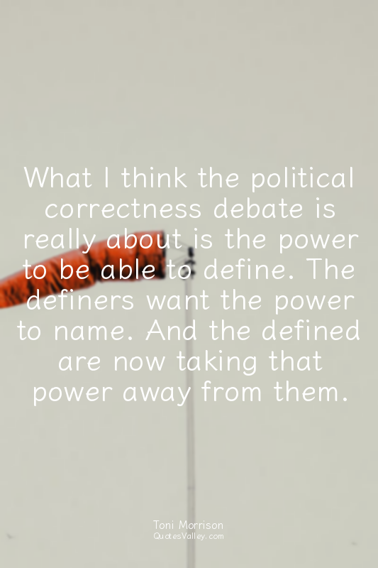 What I think the political correctness debate is really about is the power to be...