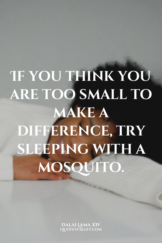 If you think you are too small to make a difference, try sleeping with a mosquit...