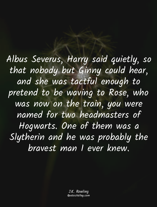 Albus Severus, Harry said quietly, so that nobody but Ginny could hear, and she...