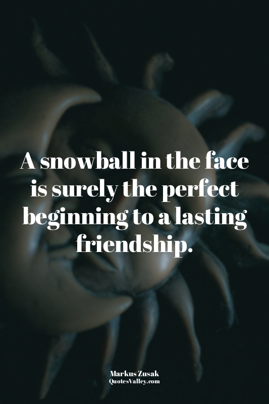 A snowball in the face is surely the perfect beginning to a lasting friendship.