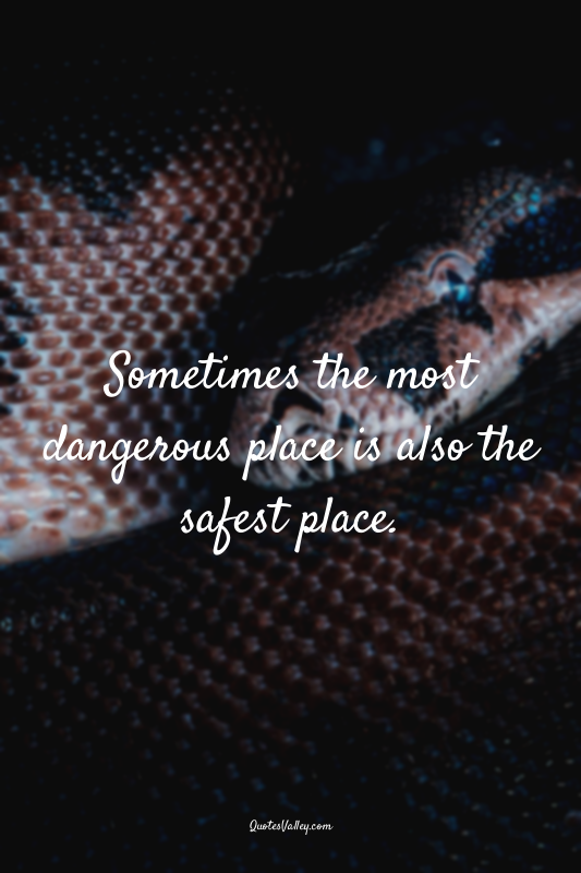 Sometimes the most dangerous place is also the safest place.