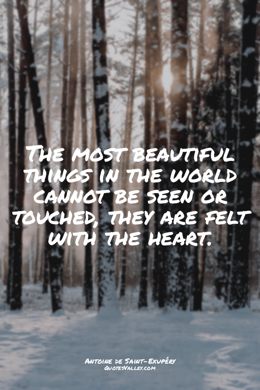 The most beautiful things in the world cannot be seen or touched, they are felt...