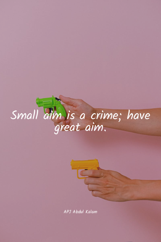 Small aim is a crime; have great aim.