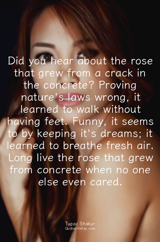 Did you hear about the rose that grew from a crack in the concrete? Proving natu...
