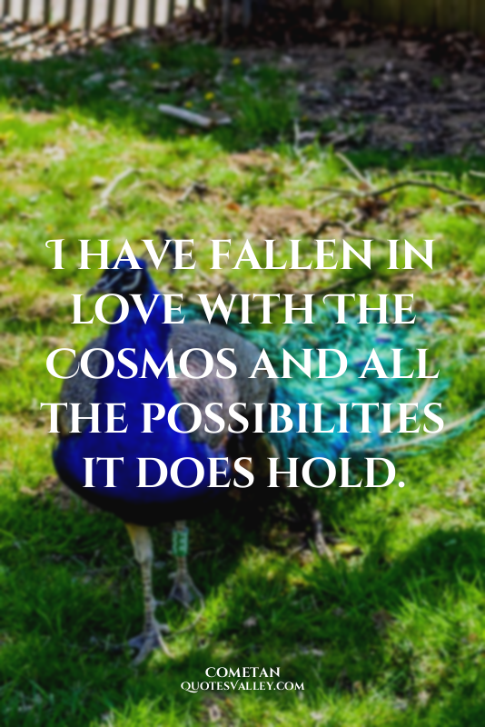 I have fallen in love with The Cosmos and all the possibilities it does hold.