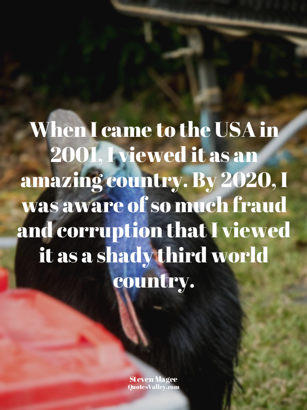 When I came to the USA in 2001, I viewed it as an amazing country. By 2020, I wa...