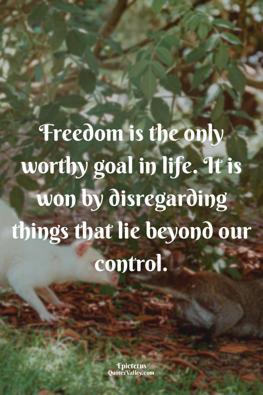 Freedom is the only worthy goal in life. It is won by disregarding things that l...