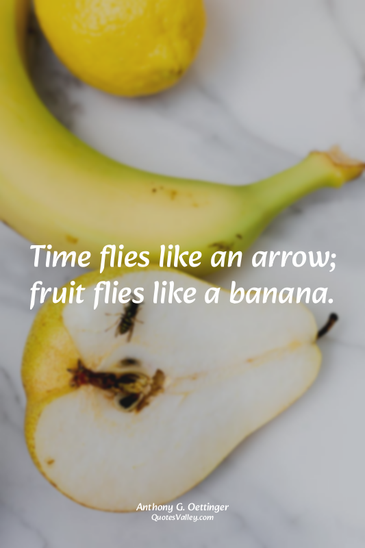 Time flies like an arrow; fruit flies like a banana.