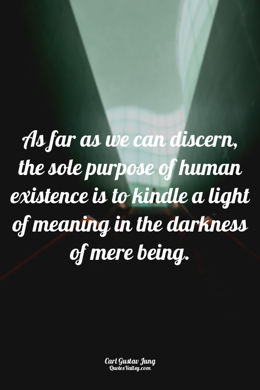 As far as we can discern, the sole purpose of human existence is to kindle a lig...