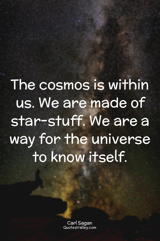The cosmos is within us. We are made of star-stuff. We are a way for the univers...
