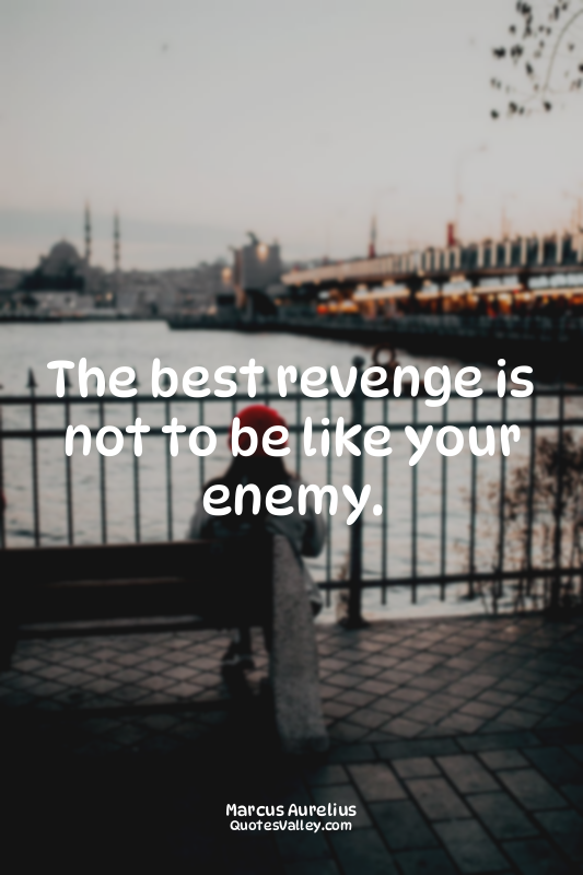 The best revenge is not to be like your enemy.
