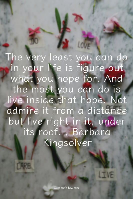 The very least you can do in your life is figure out what you hope for. And the...