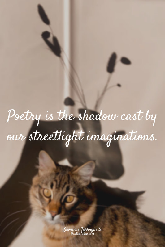 Poetry is the shadow cast by our streetlight imaginations.